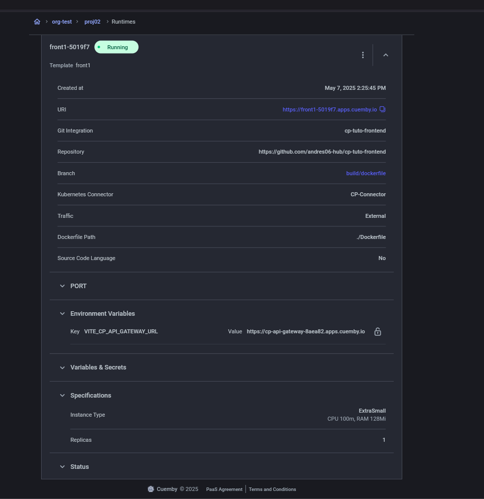 details runtime frontend
